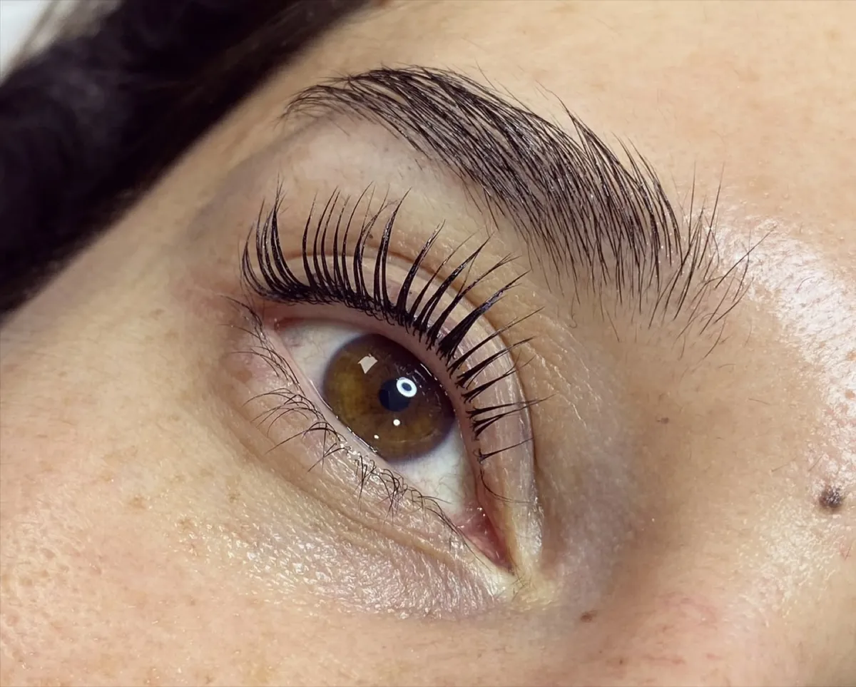 Lifted, defined lashes on a brown eye